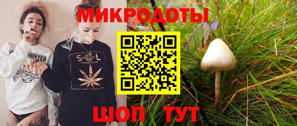 Псилоцибиновые грибы Psilocybine cubensis  Вход с VPN  Ливны  Псилоцибиновые грибы Psilocybine cubensis 